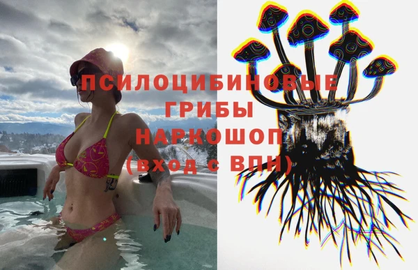 не бодяженный Абаза