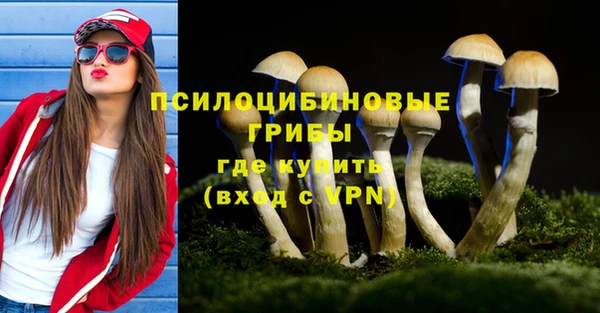 не бодяженный Абаза
