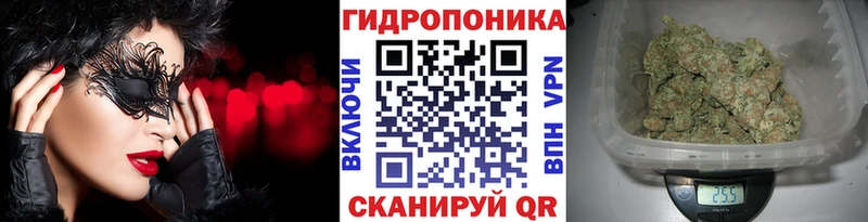 Конопля VHQ  Шилка 